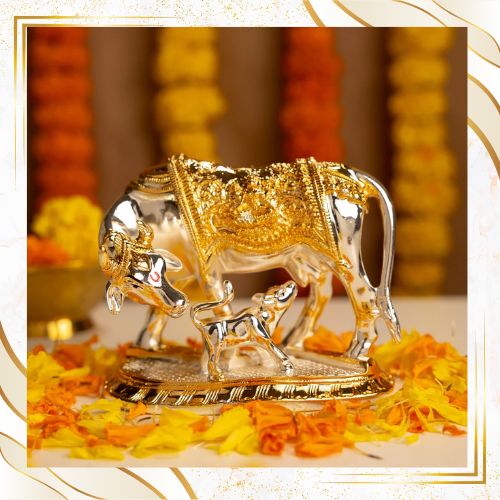 Instagram Gallery Image